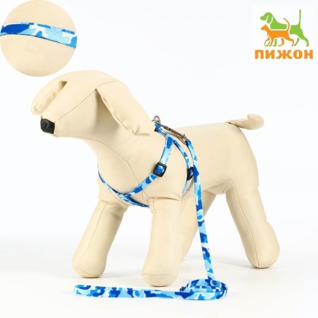 Camouflage set, kapron, leash 120 x 1 cm, fire 21-35 cm, blue-blue