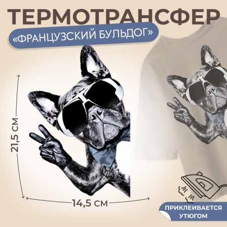 Thermalrotransfer "French bulldog", 14.5 × 21.5 cm