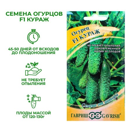 Cucumber seeds "Courage" F1, early -grown, parthenocarpic, 10 pcs.