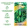 Cucumber seeds "Courage" F1, early -grown, parthenocarpic, 10 pcs.