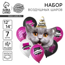 Букет из шаров «HB to you», котик, латекс, фольга, набор 7 шт.