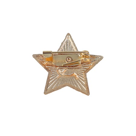 Zvezda icon, 2.5 cm, with a fastener like on a regular icon-1