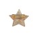 Zvezda icon, 2.5 cm, with a fastener like on a regular icon