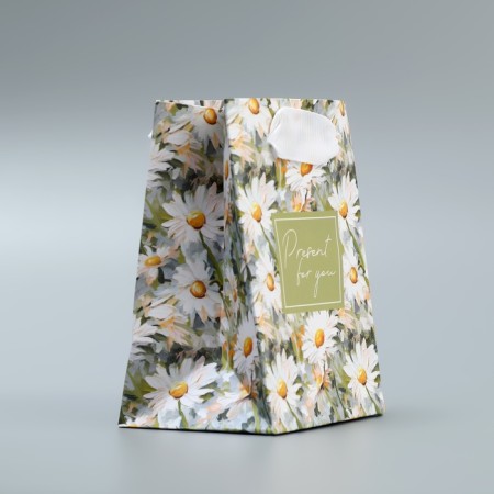 Gift laminated package, packaging, Pressent, 9 x 12 x 6.5 cm-2