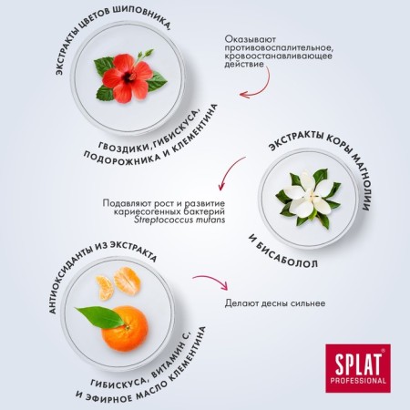 Splat Professional Toothpaste "Healthy Desna", 100 ml-4