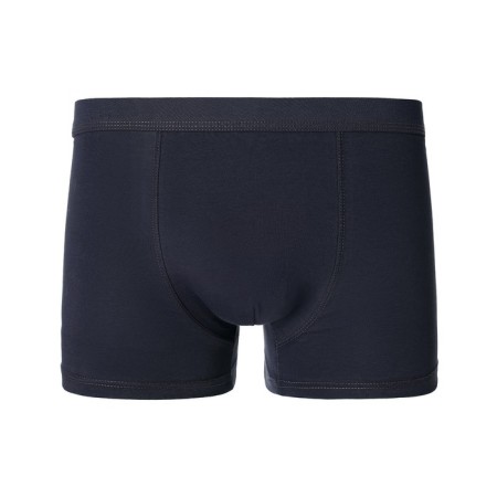 Panties men's panties, gray color, size 48-50-5