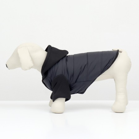 Jacket for dogs "Sport" with a hood, size l, black-1