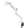 Crasstein for Monitors Ultramounts UM719W White 17 "-35" Max. 10.5kg mount to countertop 107046
