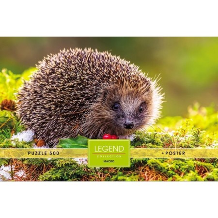 Puzzles "Hedgehog in a clearing" in a gift box, 500 elements + poster-1