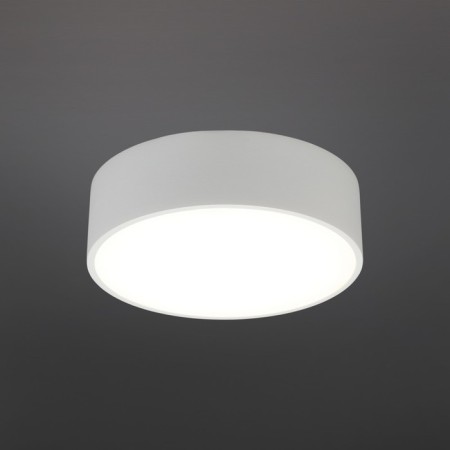 Wall-flowing lamp EVON LED 4000K 12W-1