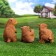 Garden figure "Bear Bear", set of 3pcs, 42x18x24cm