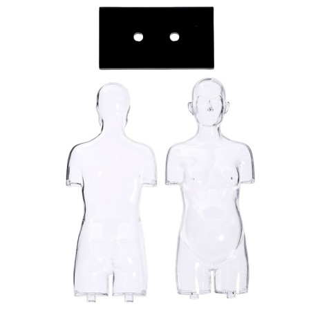 Set for experiments "Body structure", pregnant woman-8