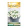 Flowers of petunia large -flowered Mistral White F1, 10 dragees
