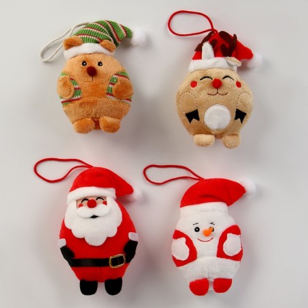 Suspension "New Year", species mix-2