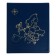 Album for coins on rings, optima format 230 x 265 mm Calligrata "map", includes up to 20 sheets, PVC cover, blue