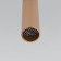 Ceiling accent Elektrostandard, Pika LED 6 W, 120x30x30 mm, IP20, Gold Color