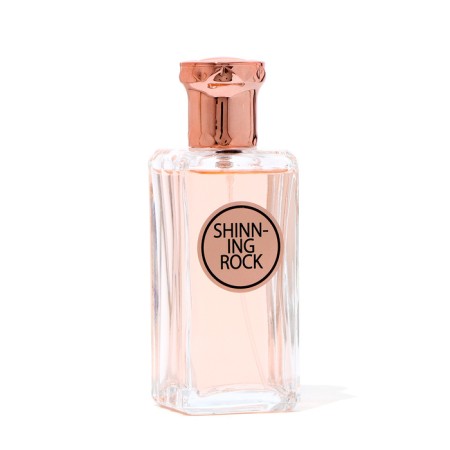 Women's toilet water SHINING ROCK, 100 ml-1