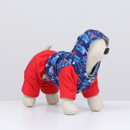 Zimovye jumpsuit for animals "Skier", M (DS 24-26, Osh 26-28, OG 36-38 cm), Mix-1