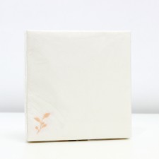 Paper Napkins Sima-Land Home Oliva Vetochka, 33x33, 3 layers, 20 pcs