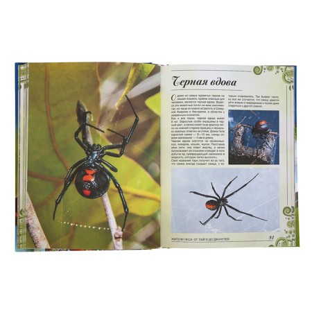 A big book about animals. 1001 photography. Ermakovich D.I.-5