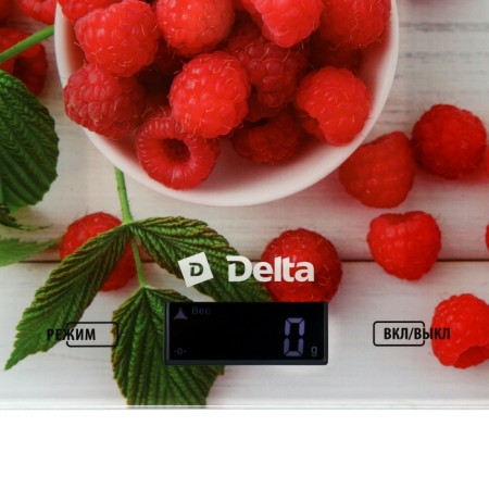 Kitchen Libra Delta KCE-67, electronic, up to 5 kg, drawing "Malinka"-2