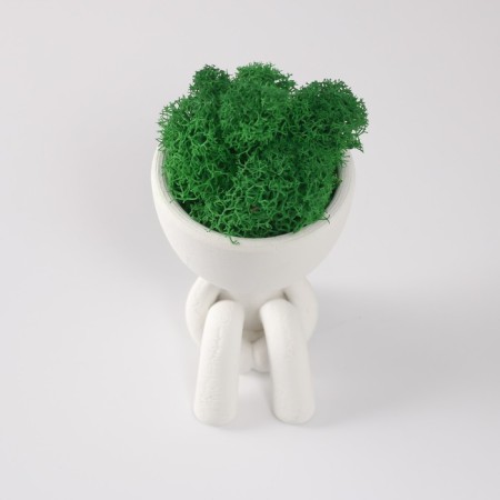 Kashpo concrete mini "Mr. Green in anticipation" with moss white 5.5x7x7 cm (moss green stabiliz)-4
