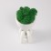 Kashpo concrete mini "Mr. Green in anticipation" with moss white 5.5x7x7 cm (moss green stabiliz)
