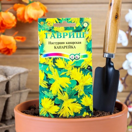 Flower seeds nasturtium foreign "Canary", o, 0.7 g