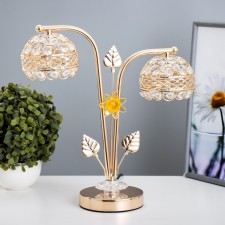 Broad lamp 
