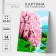 Picture on numbers with additional elements "Sakura on the shore", 30x40 cm