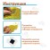 Toys on magnets, 4 pcs. "Brilliant applications" "Transport"
