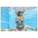 Lil ’Wave swimming glasses, from 3 years old, Mix color, 21062 Bestway