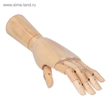 Model wooden hand, male, left, 31 cm-4