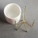 Kashpo "cylinder" white, on a gold stand, 15x8x8cm