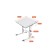 Polini Kids Simple M1 75 x 55 cm growing transformer desktop.