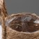 Kashpo wicker "Kenya" cylinder with handles, 15.5x15.5x13.5 cm, natural