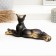 The figure "cat lies" black, 8x20cm