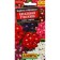 Verbena flowers "perfect artist", a mixture of varieties, c/p, 0.1 g
