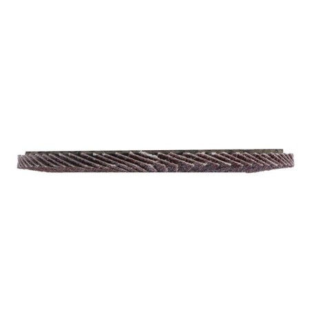 Circle of petal conical scrap, 125 x 22 mm, P40-3