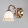 Bra Campina, 1x60W E27, bronze color