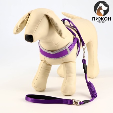 Soft harness kit, leash 120 x 1 cm with a swivel, s, Osh 26-67 cm, og 26-67 cm, purple