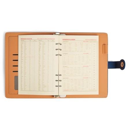 Organizer on the rings of "Classic" A5, 96 sheets in the ruler, with a strap, mix-6