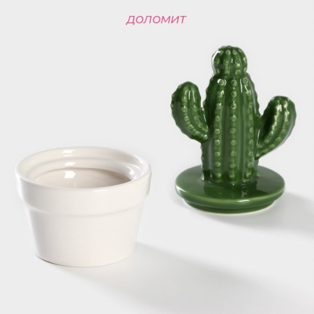 Ceramic Bank for spices of the Cactus, 150 ml, 8 × 8 × 14 cm-1