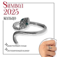 New Year! Symbol of the year 2025! Ring 