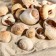 A set of shells, 2.5 - 4.5 cm, 100 g