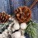 Decor "Winter Charm" white berries cones, 24 cm