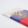Cover for passport, Tricolor color