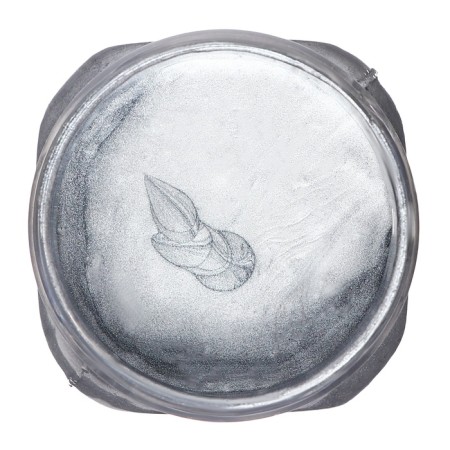 Gouache Art Metallic "Caulrum", 220 ml, in a bank, silver-1
