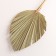 Washingtonia Palm sheet "Peak" 50-60 (+/- 6 cm), 1 pc, col. natural