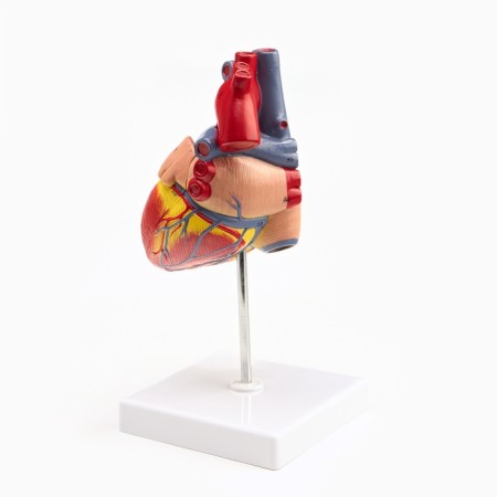 Matcage "Heart" isolate 13*8cm-2